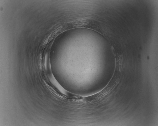 X0000053151058200507111448