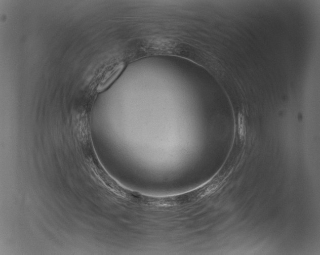 X0000053151107200507111446