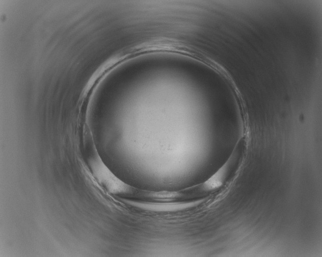 X0000053151146200507111447
