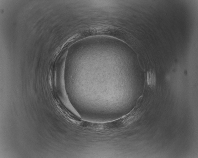 X0000053151155200507111446