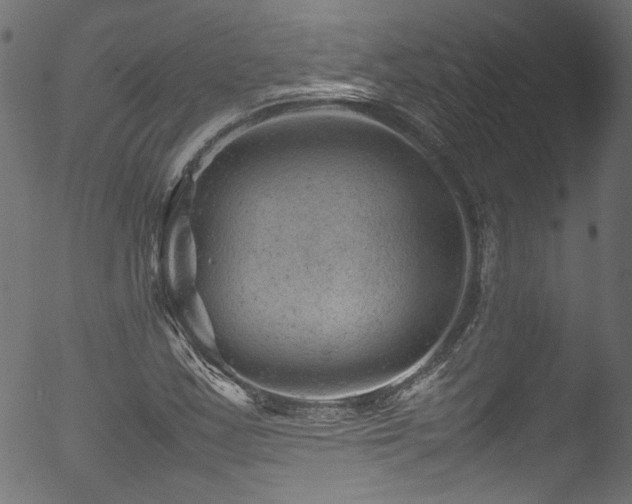 X0000053151163200507111446