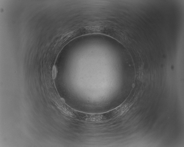 X0000053151201200507111445