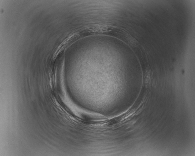 X0000053151202200507111445