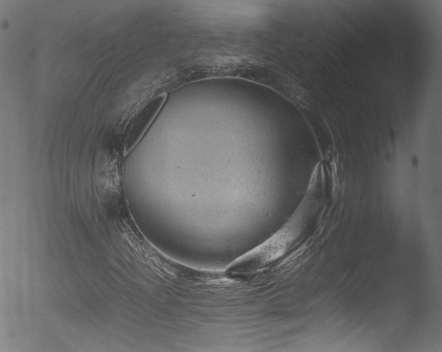 X0000053151204200507111445