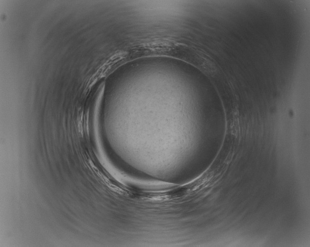 X0000053151298200507111443