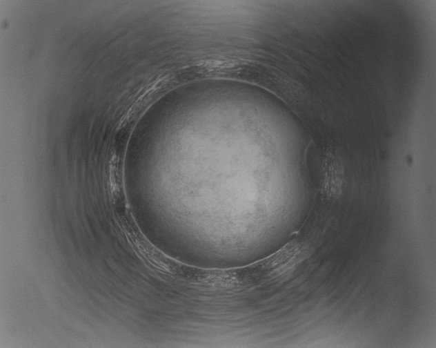 X0000053151346200507111443