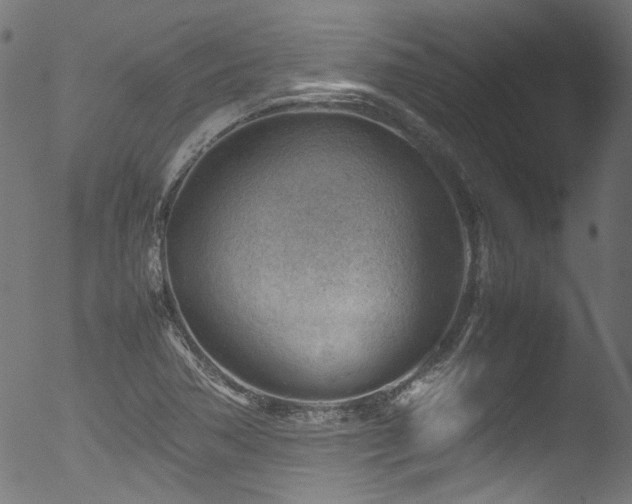 X0000053151362200507111443