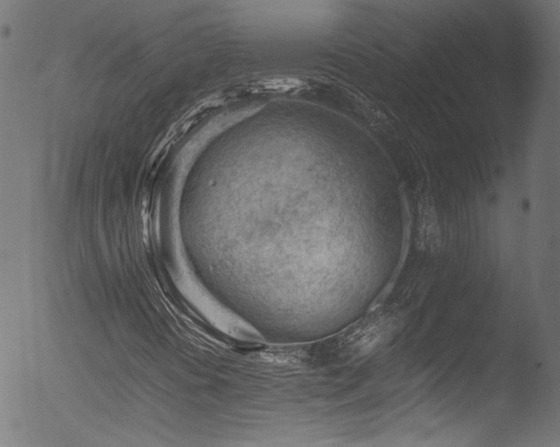 X0000053151394200507111441