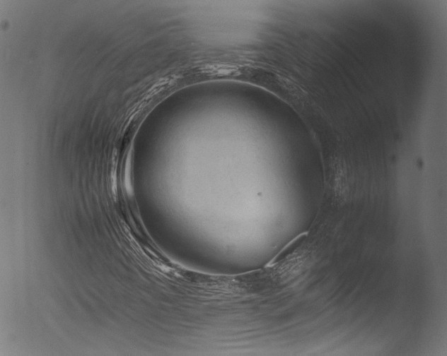 X0000053151442200507111441