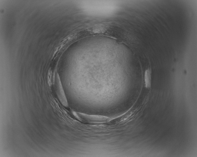 X0000053151443200507111441