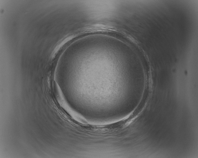 X0000053151453200507111441