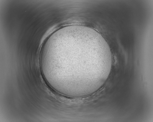 X0000053150004200507251854