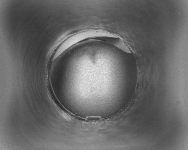 X0000053150005200507251854