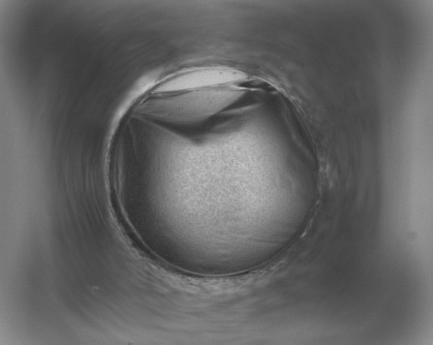X0000053150006200507251854