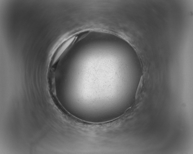 X0000053150007200507251854