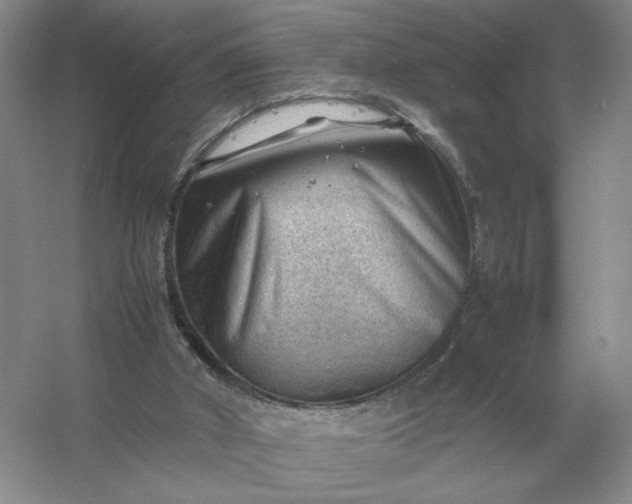 X0000053150010200507251854