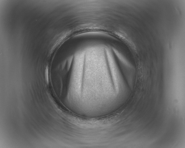 X0000053150014200507251853