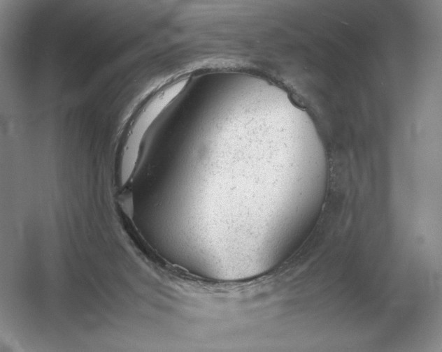 X0000053150015200507251853