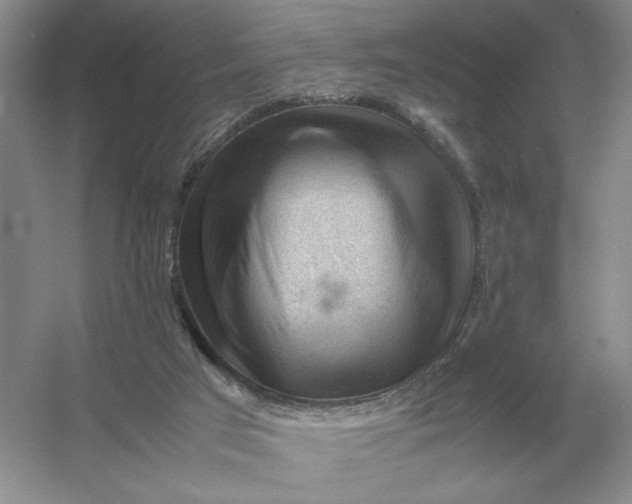 X0000053150017200507251853