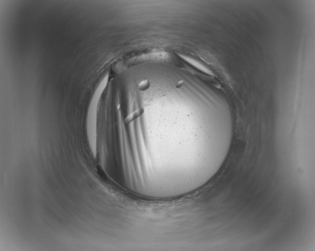 X0000053150021200507251853