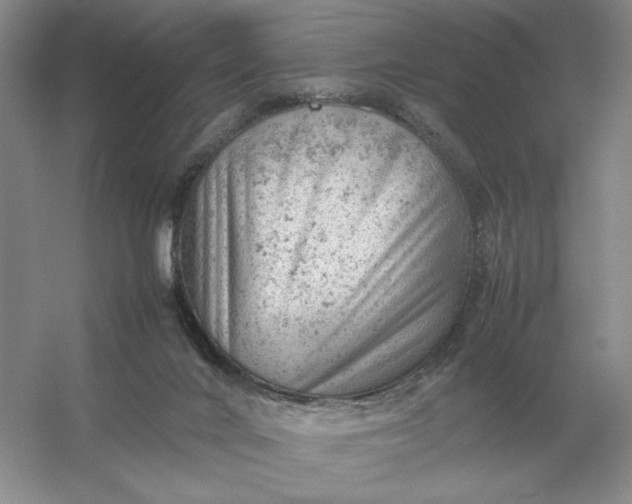 X0000053150024200507251853