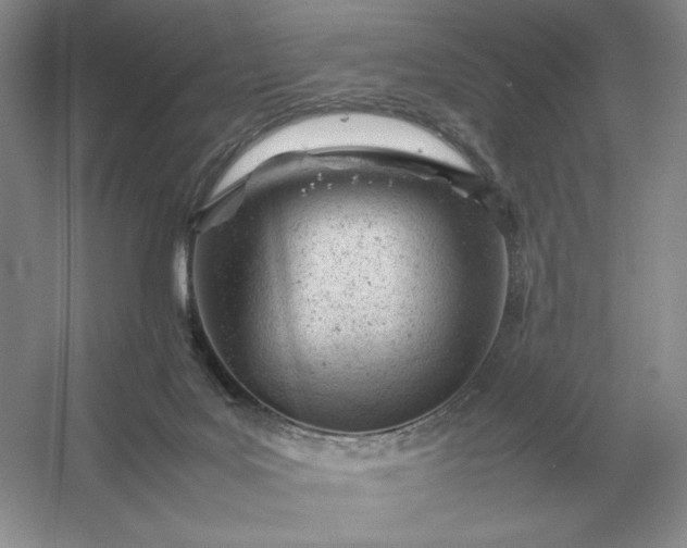 X0000053150027200507251853