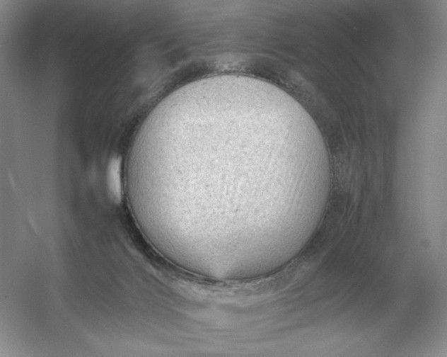 X0000053150028200507251853