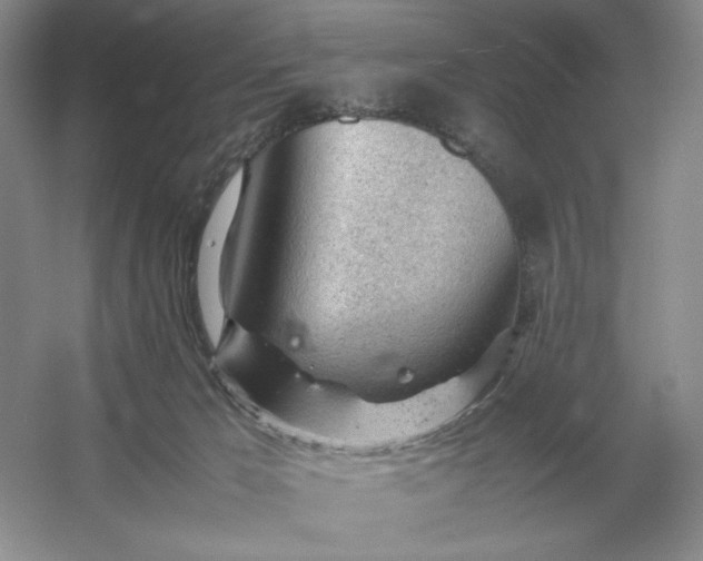 X0000053150029200507251853