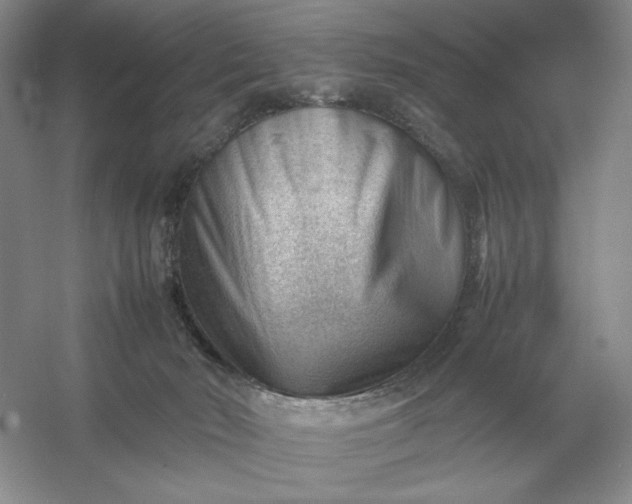 X0000053150030200507251853