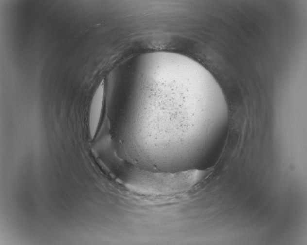 X0000053150031200507251853