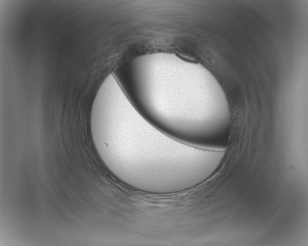 X0000053150033200507251853