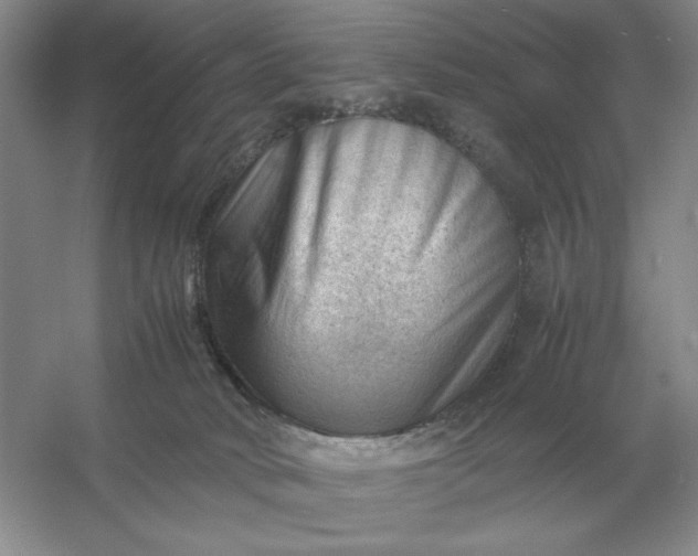 X0000053150034200507251853