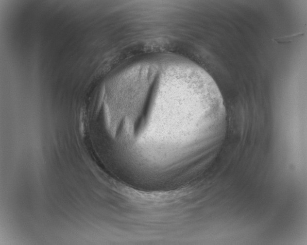 X0000053150038200507251853