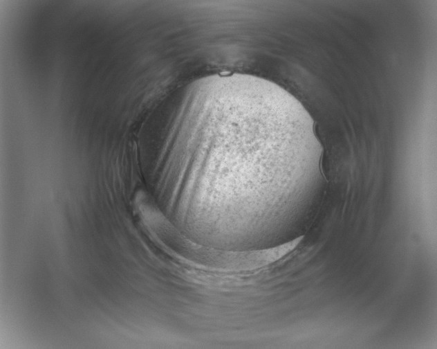 X0000053150040200507251853