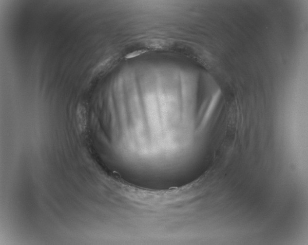 X0000053150043200507251853