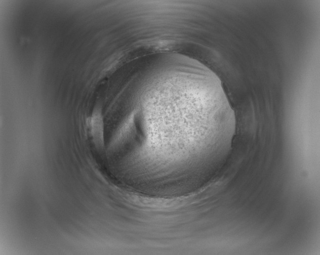 X0000053150044200507251853