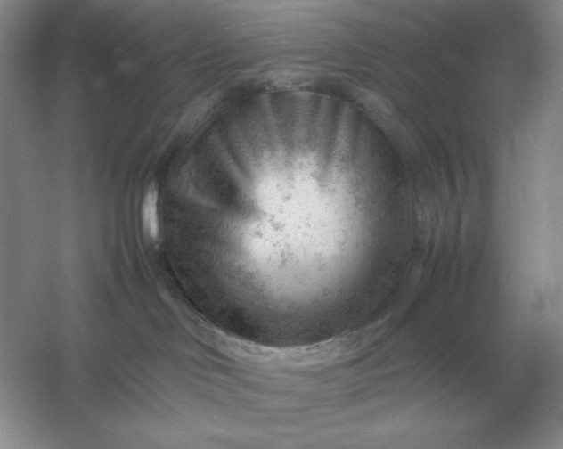 X0000053150046200507251853
