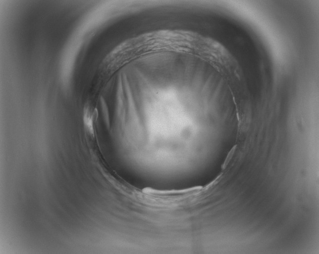 X0000053150047200507251853