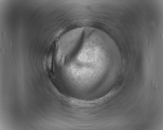 X0000053150048200507251853