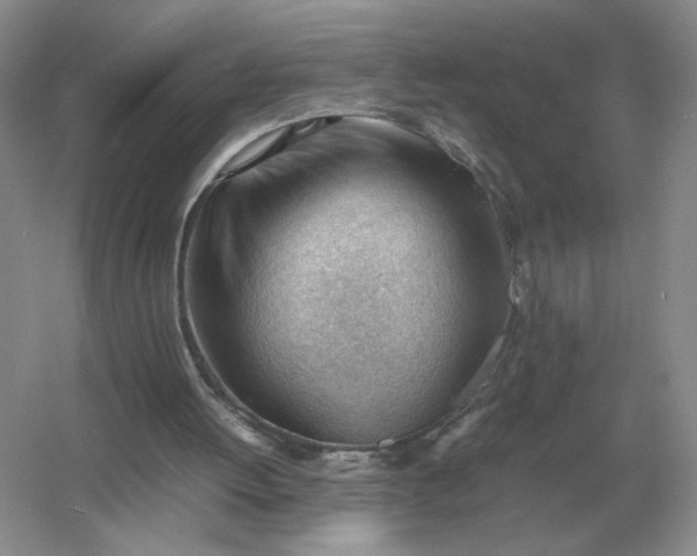 X0000053150052200507251852
