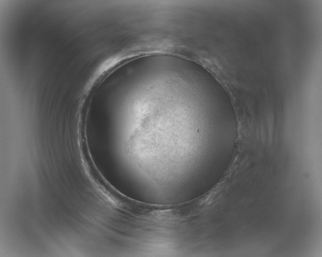 X0000053150054200507251852