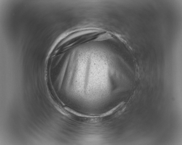 X0000053150056200507251852