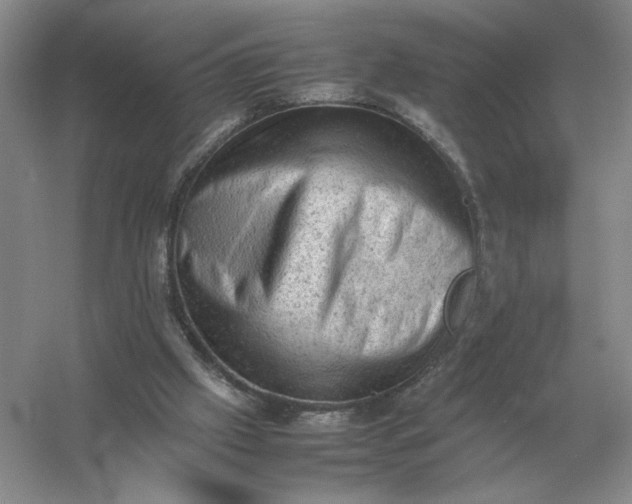 X0000053150057200507251852