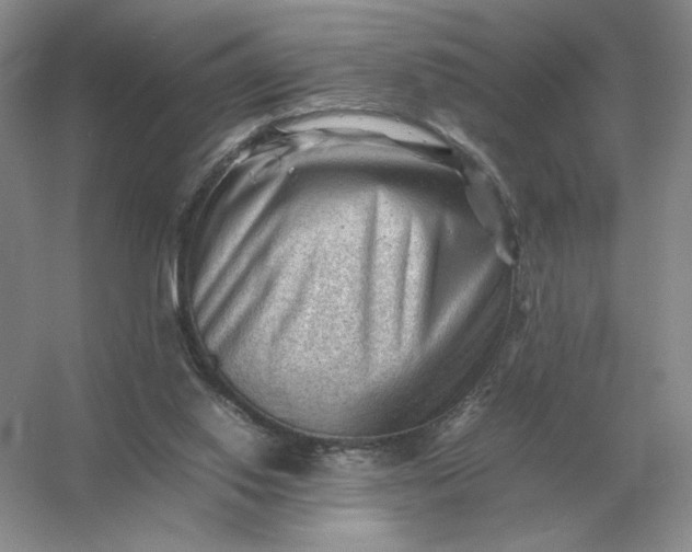 X0000053150062200507251852