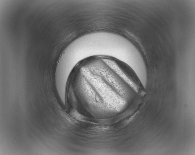 X0000053150065200507251852