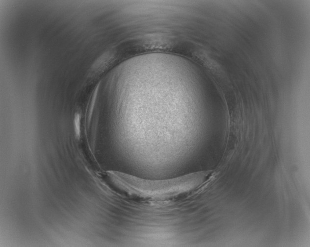 X0000053150070200507251852