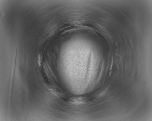 X0000053150075200507251852