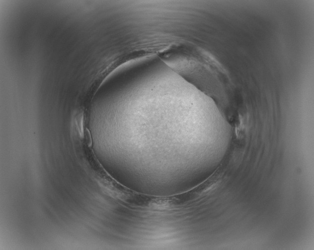 X0000053150076200507251853