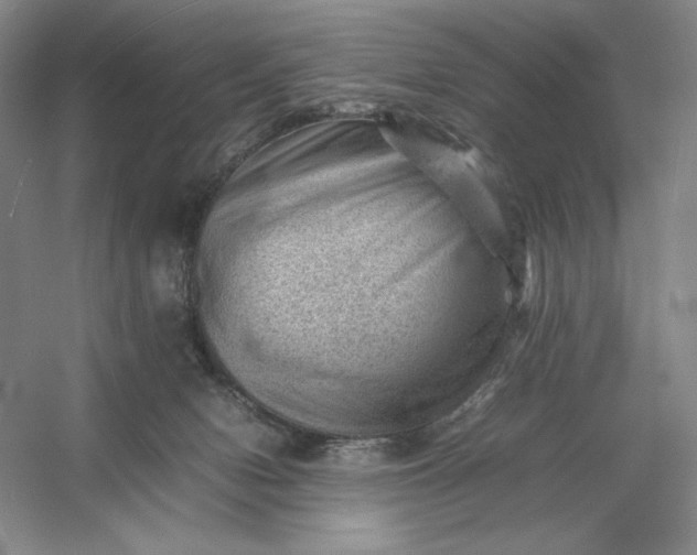 X0000053150078200507251853