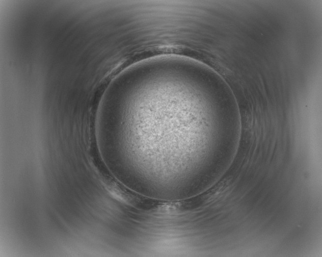 X0000053150080200507251853